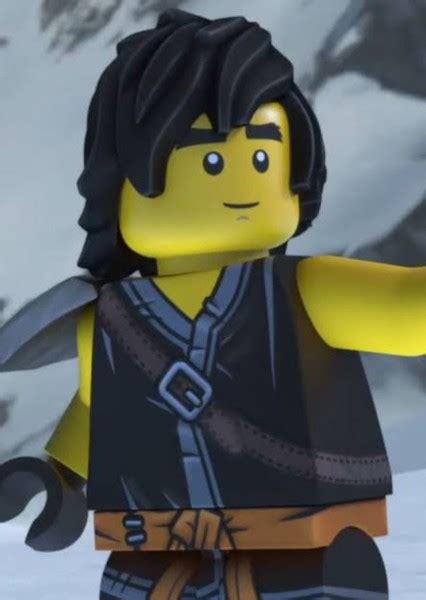 Lego Ninjago Cole 2022