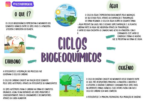 Mapa Conceptual De Ciclos Biogeoquimicos Lola The Best Porn Website