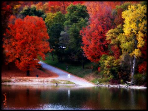Wallpaper Trees Landscape Colorful Leaves Lake Nature Shore