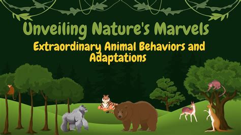 Unveiling Natures Marvels Extraordinary Animal Behaviors And