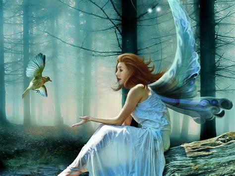 Free Download Fantasy Fairies Wallpapers Fantasy Fairy Backgrounds X For Your Desktop