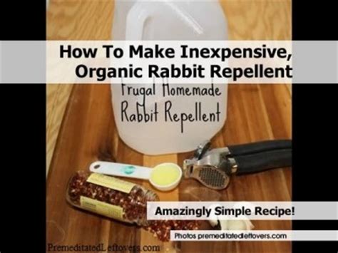 For those who want to turn rabbits away from their gardens without harming the hopping creatures, homemade rabbit repellent is the ideal solution. How To Make Inexpensive, Organic Rabbit Repellent