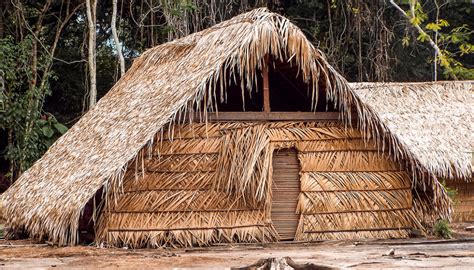 Como é A Visita A Uma Aldeia Indígena No Amazonas Vou Na Janela