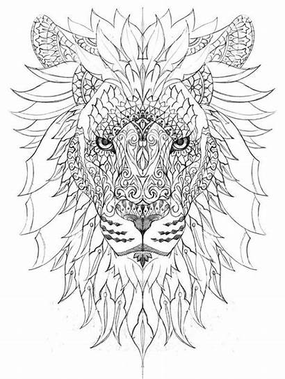 Coloring Lion Adult Majestic Going Definitely Myself