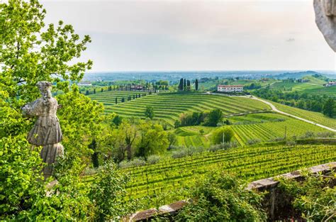 Friuli Venezia Giulia wine region
