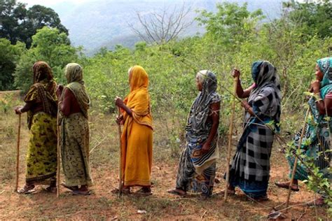 Watch What Happens When Tribal Women Manage Indias Forests Inter Press Service