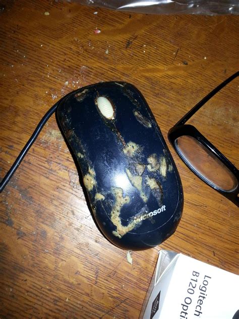I Think This Is Supposed To Be A Mouse Techsupportgore