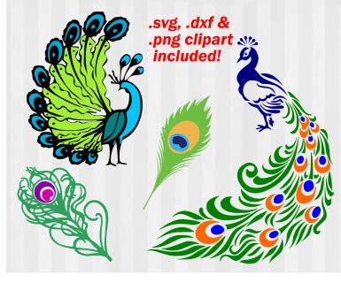 Peacock SVG Files , Peacock clipart, Peacock dxf, Peacock feather svg ...