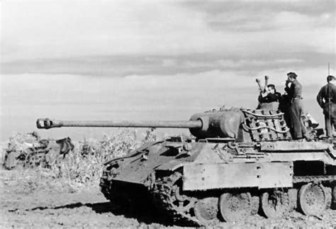 Panther Tank East Front World War Photos