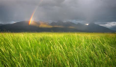We ran into a big rainstorm on highway 6, and the visibility was so poor we had to pull over. Mission Valley Rainstorm Photograph by Matt Hammerstein