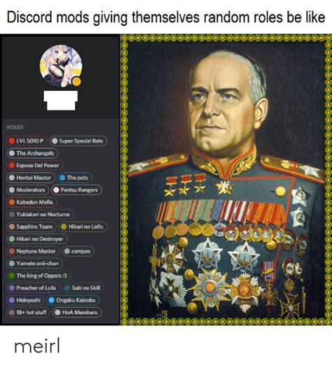Discord Mod Roles Meme Apsgeyser