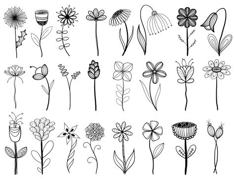 Simple Line Drawing Flowers Best Ideas For Drawing