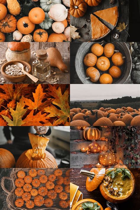 🖤 Aesthetic Halloween Backgrounds Pumpkin 2021