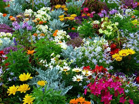 Flower Garden Summer Free Photo On Pixabay Pixabay