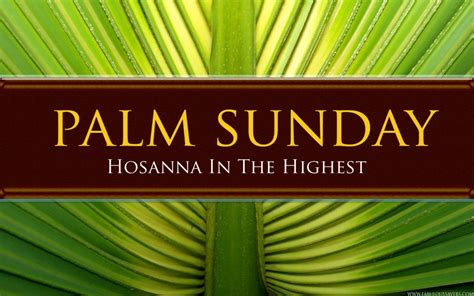Download Palm Sunday 4k Hd Free Download Wallpaper
