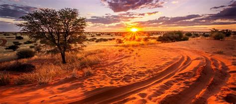 Private Tours And Vacations To The Kalahari Desert Botswana Untold