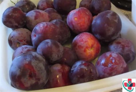Why Plums Are A Valuable Fruit To Add To Your Diet