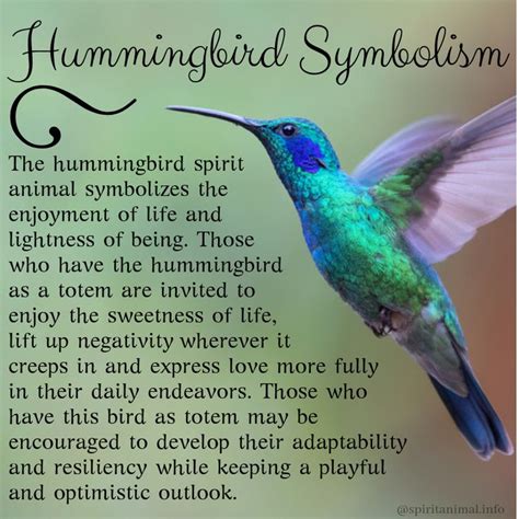 08.07.2013 · what does anything for you mean? Hummingbird Spirit Animal | Meaning & Symbolism ...