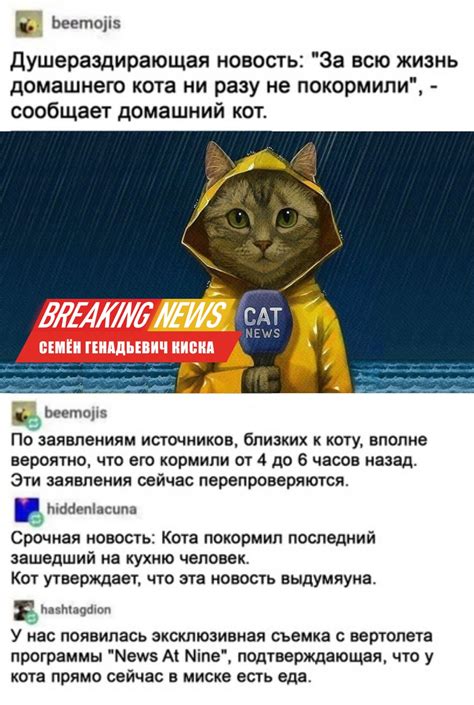 ﻿beemojis Душераздирающая новость За всю жизнь домашнего кота ни разу не покормили сообщает