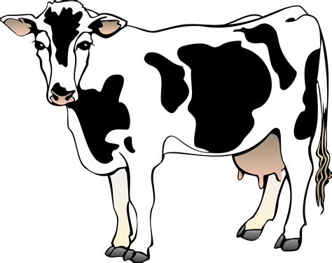 Cartoon Cow Cow Vector Cartoon Animal Free Psd Vector Icons A Udder 