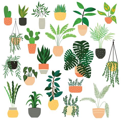 Hand Drawn Plant Vector Png Images Cartoon Hand Drawn Plant Vector