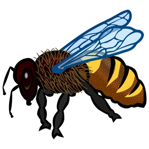 Bee Insect Honey Bee Bee Clipart Bee Clipart Animals Clip Art