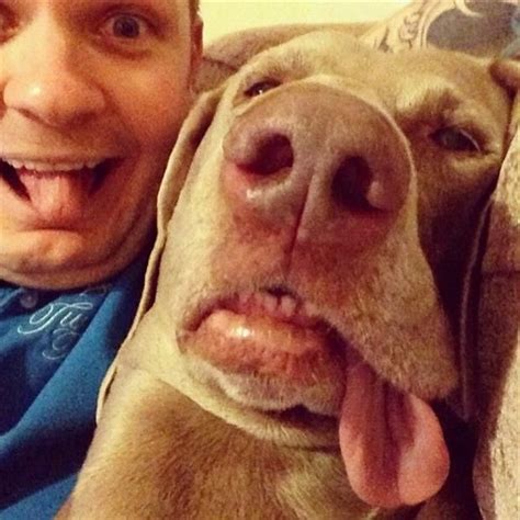 Check Your Selfie Before You Wreck Your Selfie 21 Pics Dog