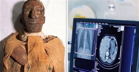 Scans Of 3000 Year Old Egyptian Pharaoh Mummies Uncovering Stunned
