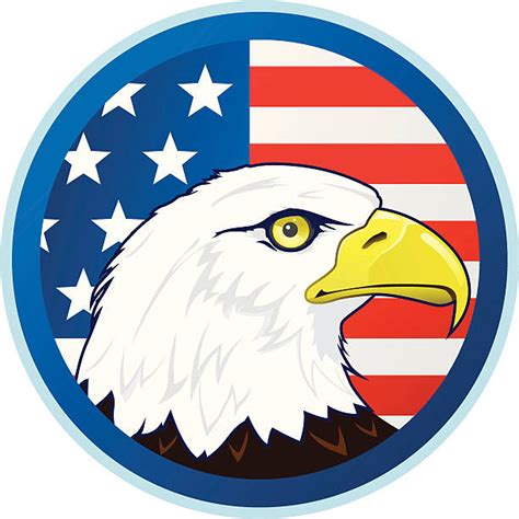 Bald Eagle American Flag Illustrations Royalty Free Vector Graphics