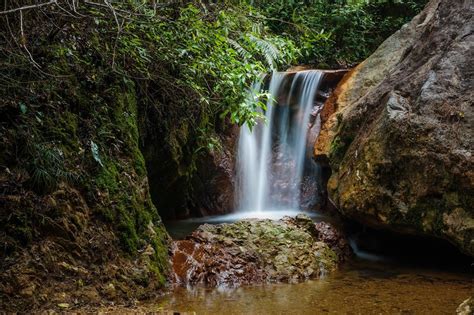 Parque Nacional La Tigra Belleza Llena De Vida Natural En La Capital De Honduras Diario RoatÁn