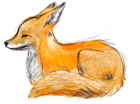 Fox Sketch By Yumenei On Deviantart