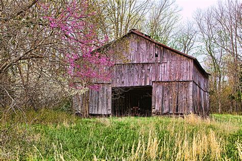 Kentucky Tobacco Barn In Spring Photograph By Gene Linzy