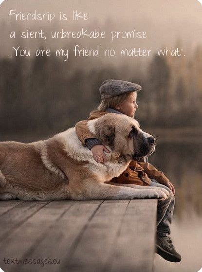Friendship Quotes Dog Friends High Quality Dog Pictures Alabai Dog