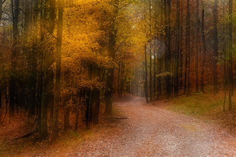 Desktop Wallpapers Trail Autumn Nature Forests Trees