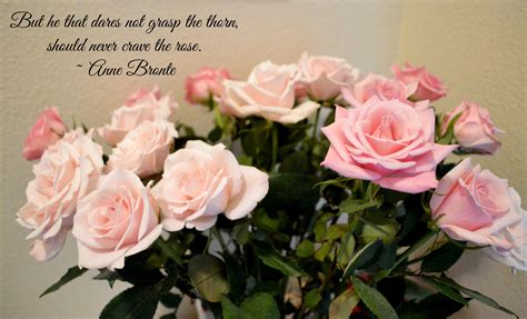 Artistic Love Quotes With Flowers