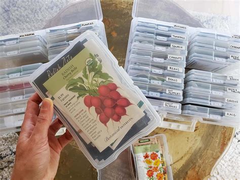Seed Storage: The Best Way to Store & Organize Garden Seeds ~ Homestead