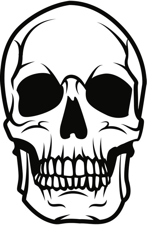 Download Line Artheadart Skull Vector Clipart 5490380 Pinclipart