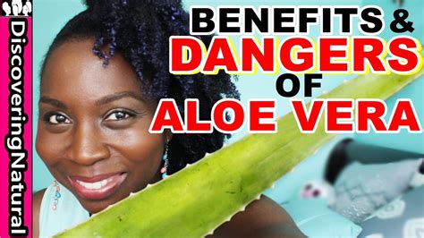 Aloe vera gel hair benefits: BENEFITS & DANGERS of ALOE VERA | Hair Loss Treatment and ...