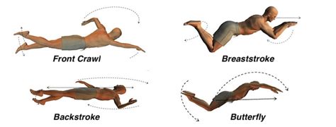 Types Of Swimming Strokes That You Can Master Easily