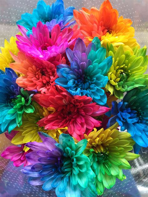 Gorgeous Multicoloured Flowers Flowers Colourful Fluro Rainbow Bright Pretty Colorful