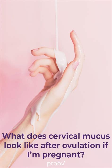 what does cervical mucus look like after ovulation if you re pregnant artofit