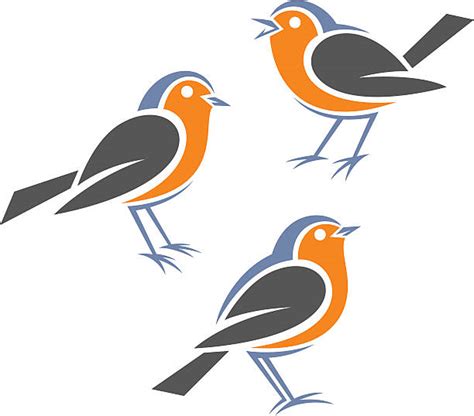 Best Robin Illustrations Royalty Free Vector Graphics And Clip Art Istock
