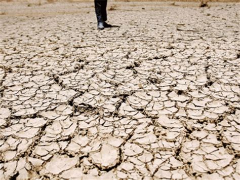 Government Working To Make India Land Degradation Neutral By 2023 The Economic Times