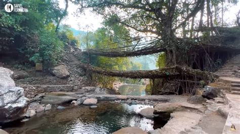 Double Decker Living Root Bridge Breathtaking Trek Through