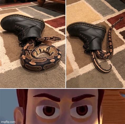 Theres A Snake In My Boot Imgflip