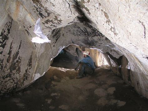 San Juan De La Libertad Cueva De Archivos Cuevas Y Tragaderos De