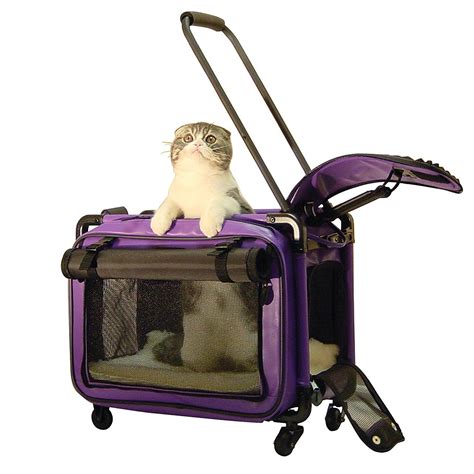 A posh & modern pet collection with designer fabrics. Tutto Small Pet on Wheels Stroller, 17-Inch, Purple ...