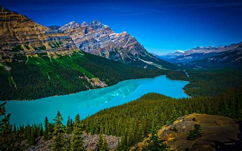 Turquoise Peyto Lake In Banff National Park In Canada At