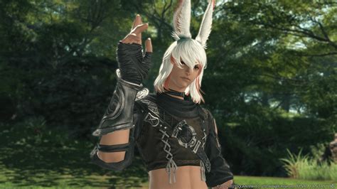 Endwalker To Introduce Male Viera To Final Fantasy Xiv For The First Time