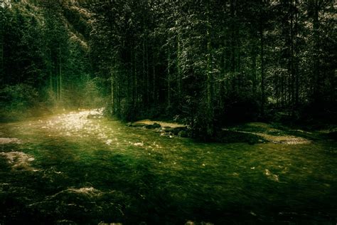 Foggy Forest River By Beholdentolove On Deviantart